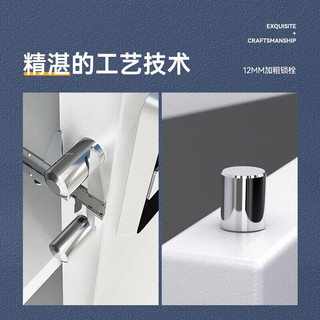 黑石保密柜 办公文件资料柜智能指纹锁铁皮柜防盗 蓝白通双节