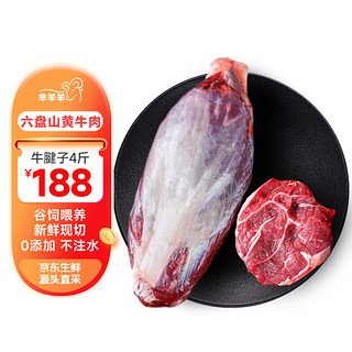 芈羊羊 宁夏黄牛肉 生鲜 国产原切牛腱子肉4斤 新鲜现杀 清真 源头直发