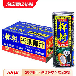 正宗椰樹牌椰果椰汁250ml*24罐裝椰子汁椰奶椰漿果汁飲料年貨禮盒