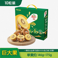 Zespri 佳沛 阳光金果 奇异果 超大果 单果146-174g 10个 礼盒装