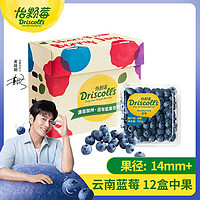 怡颗莓 Driscoll’s 云南蓝莓 原箱12盒礼盒装 125g/盒 新鲜水果礼盒