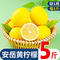 华秧 安岳黄柠檬5斤新鲜水果当季现摘皮薄一二级香水小青金桔柠檬