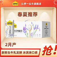 百亿补贴：认养1头牛 认养一头牛常温原味酸奶200g*10盒*1箱酸奶整箱批发