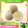 88VIP：甘肃大漠苹果6粒装冰糖心优质果园时令水果整箱包邮