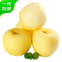 山东黄金富士苹果 5斤 12枚  脆甜