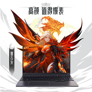 翼龙15 Pro 15.3英寸游戏本（R7-8845H、24GB、1TB、RTX4060）