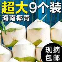 冰茜 海南去皮椰青   超大果（单果900g+）