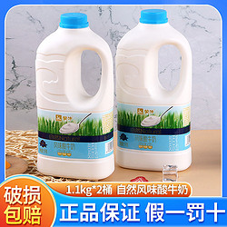 MENGNIU 蒙牛 自然风味酸牛奶1.1kg*2大桶装低温原味发酵乳奶茶店水果捞用