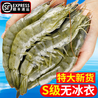 大虾鲜活超大基围虾青岛新鲜海虾冷冻青虾对虾2030盐冻虾海鲜水产