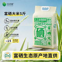 吉内得 大米2023新米富硒大米5斤长粒米籼米真空包装老种子鲜米