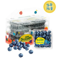 怡颗莓 Driscoll\'s云南蓝莓经典 125g*6盒 新鲜水果