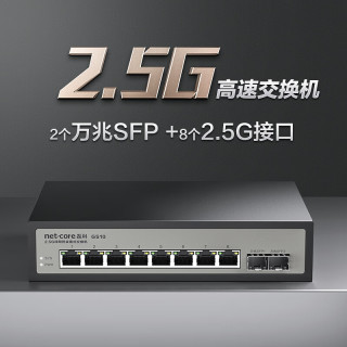 磊科 GS10 10口2.5G交换机 8个2.5G电口+2个万兆光口SFP+ &+ 千兆网络分线器分流器