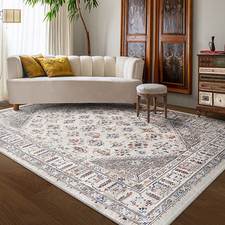 易普美家 土耳其进口美式轻奢法式地毯客厅卧室茶几毯艾美利亚 300cm×400cm