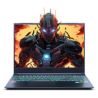 机械革命 旷世G16Pro 16英寸游戏本（ i7-14650HX、16G、512GB 、RTX4060）