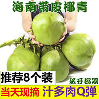 佳宝臣 VEYBOUSON 海南椰青带皮青椰子 8个装送开椰器吸管