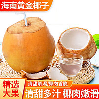 佳宝臣 VEYBOUSON 海南黄金椰子椰青 泰国品种 3-5斤/个 6个装