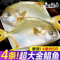 百亿补贴：东上御品 深海金鲳鱼4条超大鲳鱼新鲜冷冻银鲳白鲳冰鲜活水产批发