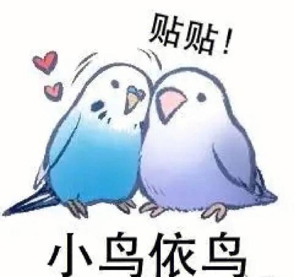 体型mini萌力爆棚,PLZDOT 小鸟芋圆MINI系列盲盒开箱