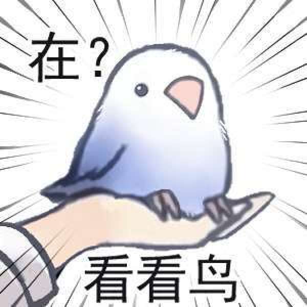 体型mini萌力爆棚,PLZDOT 小鸟芋圆MINI系列盲盒开箱