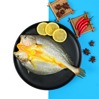 野湾港赶海父子黄鱼鲞350g*5条 三去黄花鱼 免杀即烹 生鲜源头直发