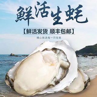 顺丰冷链！正宗！乳山生蚝 XXXL号 5.5斤装 （带官方溯源防伪标识、死蚝包赔）