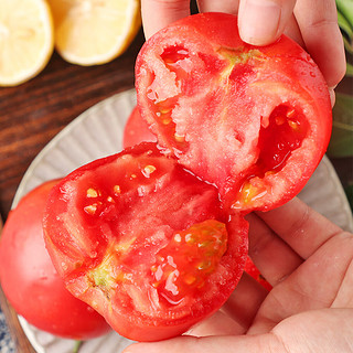 京百味 山东西红柿 1.5kg装 自然熟番茄 酸甜可口 企业专享价