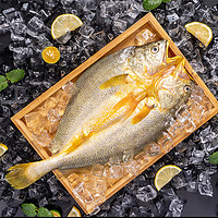 三都港 三去背开黄花鱼新鲜冷冻宁德大黄鱼300g