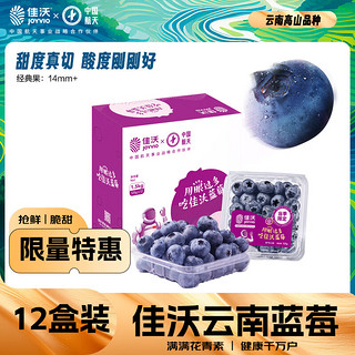 蓝莓 单果果径14mm+ 1.5kg 礼盒装