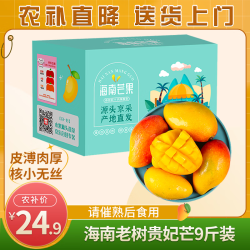 京鲜生 海南老树贵妃芒 9斤 单果100g起