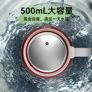 DAEWOO 大宇 酷潮烧水杯 便携式烧水壶 加热水杯 旅行电热水