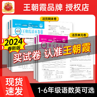 《王朝霞·单元/期末活页卷》（2024年新版、年级/科目/版本任选）