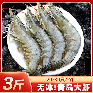 东上御品 国产青岛大虾 特大号白虾 2030规格 净重1.5kg