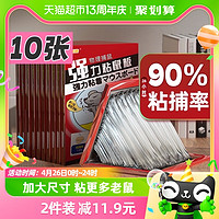 88VIP：金大侠 强力粘鼠板10张加大加厚家用大老鼠粘胶老鼠贴捕鼠神器