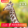 PNSO 长颈鹿奔巴动物园成长陪伴模型16