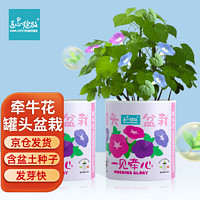 Bloom Life 匠心绽放 IAM City Farmer牵牛花罐头盆栽绿植花卉种植罐头种子diy盆栽男孩女孩节日礼物