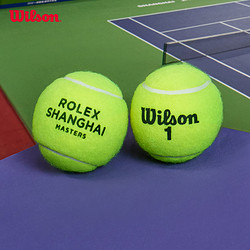Wilson 威爾勝 官方上海大師賽法網專用比賽級多場地網球配件3只裝