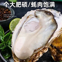 正宗！乳山生蚝 源头直发！5XL 5.5斤 （带官方溯源防伪标识、死蚝包赔)