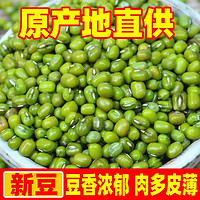 新鲜绿豆东北绿豆农家自种绿豆可脱皮绿豆汤五谷杂粮批发1/3/5斤