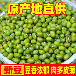 新鲜绿豆东北绿豆农家自种绿豆可脱皮绿豆汤五谷杂粮批发1/3/5斤