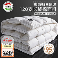 BEYOND 博洋 家纺120支A类进口95白鹅绒羽绒被 冬被500g-1200g 白色 冬被—贝齐 220*240cm