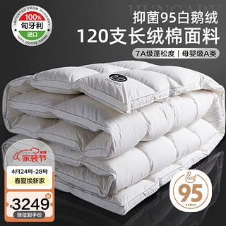 BEYOND 博洋 家纺120支A类进口95白鹅绒羽绒被 冬被500g-1200g 白色 冬被—贝齐 220*240cm