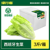 GREER 绿行者 西班牙生菜新鲜蔬菜沙拉材料轻食清香爽口叶菜生菜3斤