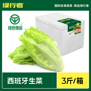 GREER 绿行者 西班牙生菜新鲜蔬菜沙拉材料轻食清香爽口叶菜生菜3斤