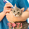 狗狗滴耳液耳螨猫用猫耳螨宠物洗耳液猫咪耳朵清洁用品耳屎药消炎