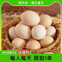 土家享 湖北省鸡蛋大王 农家散养新鲜土鸡蛋40g*20枚