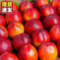 栀舒 【新鲜头茬】 山东黄肉油桃 5斤装