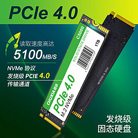 CHUXIA 储侠 SSD固态硬盘M.2接口PCIe4.0兼容PCIe3.0读速5000MB/S长江晶圆升级版