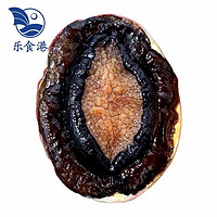 乐食港 同城速配 鲜活澳洲鲍鱼澳鲍650-750g/1只 海鲜水产