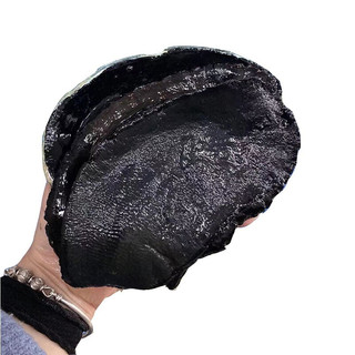 乐食港【活鲜】鲜活新西兰黑金鲍大鲍鱼海鲜500-600g/1只