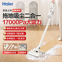 Haier 海尔 吸尘器家用小型手持推杆立式大吸力车载宠物毛发地毯吸拖地一体机 有线款 HZG-Q29W